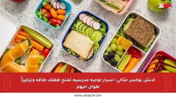 لانش بوكس مثالي: أسرار لوجبة مدرسية تمنح طفلك طاقة وتركيزاً طوال اليوم